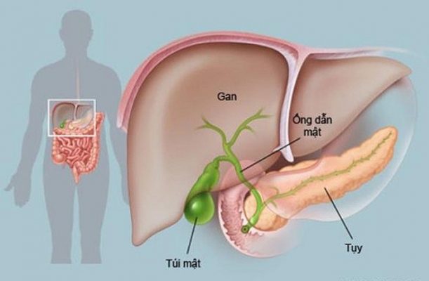 Những triệu chứng ung thư tuyến tụy hay gặp nhất 5