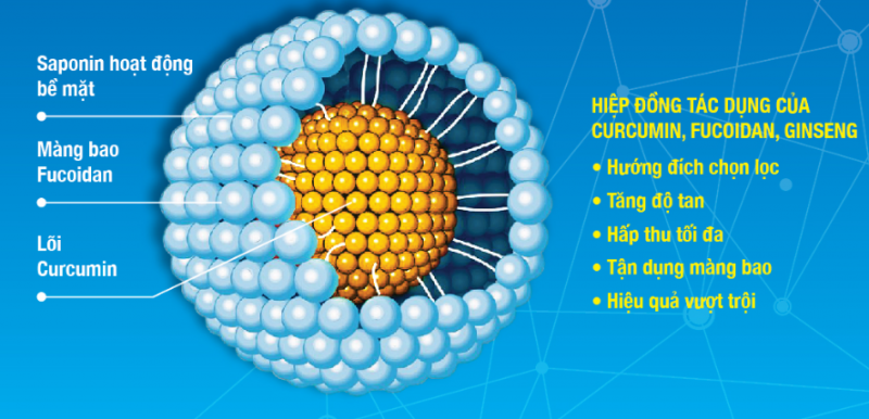 Kết quả thực nghiệm chứng minh “Hợp chất Fucoidan” có tác dụng hỗ trợ điều trị căn bệnh ung thư 3
